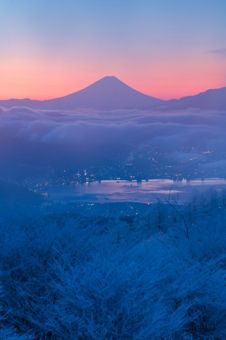 高ボッチ高原